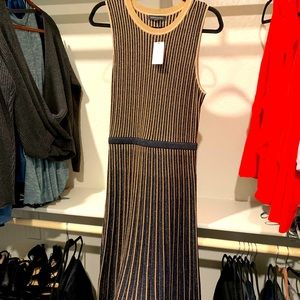 BANANA REPUBLIC Dress (new with tags)